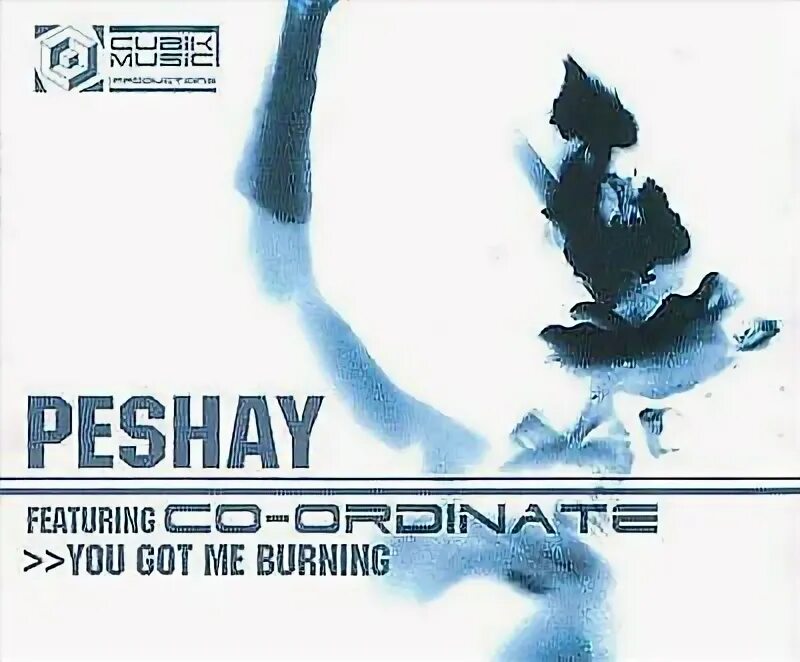 You got me Burning. Fiesta Forever - you got me Burnin'. Peshay. Got me burning