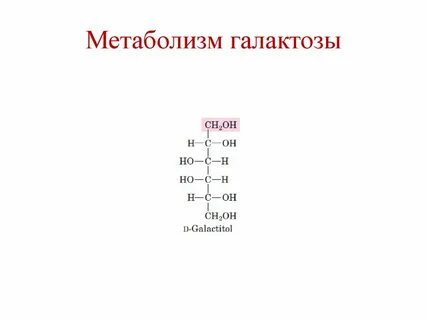 Обмен фруктозы и галактозы