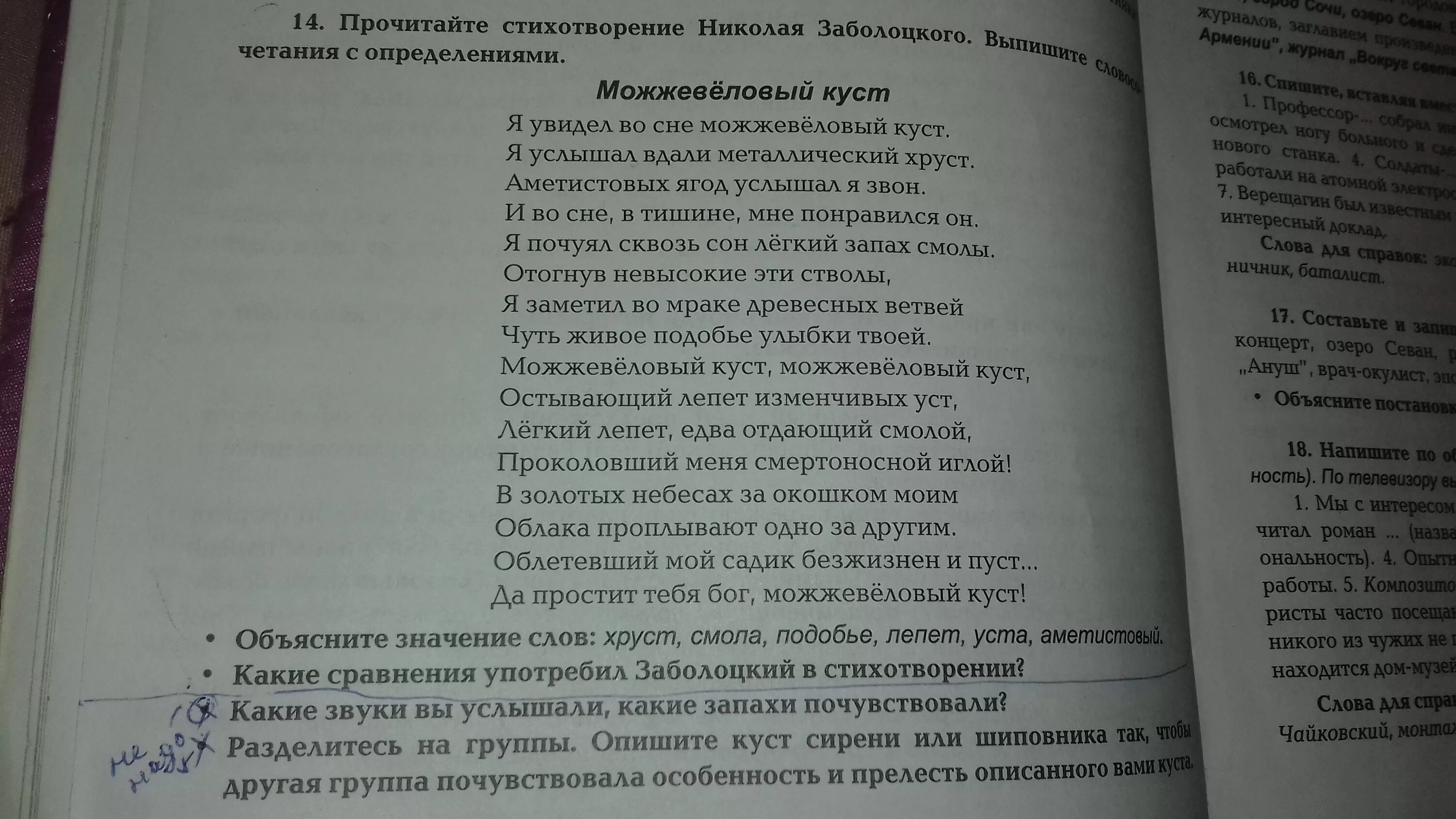 Стихотворение н а заболоцкого вечер на оке. Можжевеловый куст Заболоцкий стих. Можжевельник стих Заболоцкого. Можжевельник куст стих.