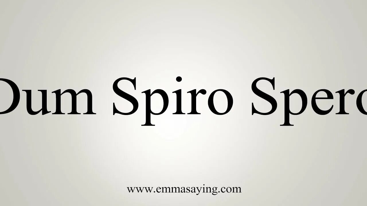 Надеяться на латыни. Дум Спиро сперо. Dum Spiro spero (пока дышу, надеюсь). Dum Spiro spero перевод. Дум Спиро сперо латынь.