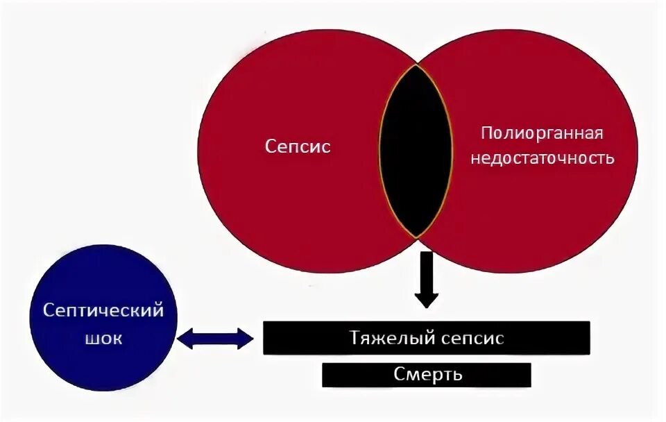 Признаки инфицирования крови во флаконе. Признак инфицирования крови во флак.