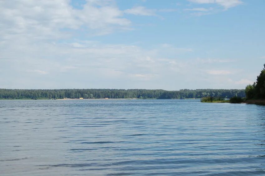 лыщево истринский район пляж. истринское водохранилище ленинский район. истринское водохранилище форум. истринское водохранилище плотина. истринское водохранилище новораково.