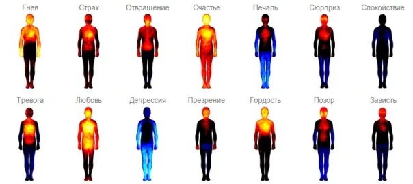 Внутреннее состояние человека примеры Физическое состояние живых существ: найдено 90 изображений