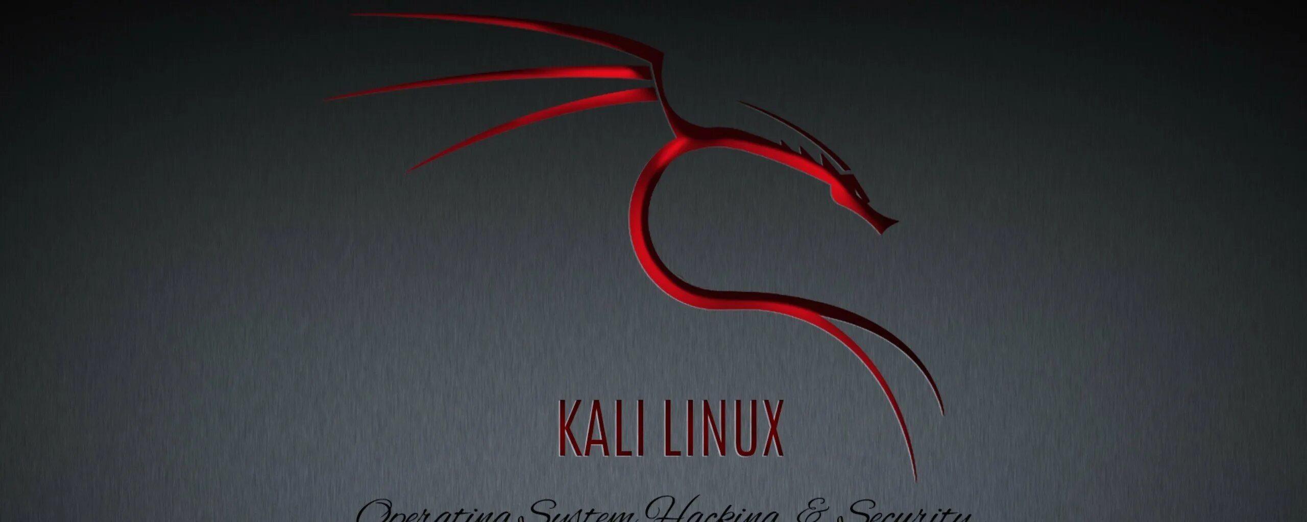 Почему kali linux. Кали линукс. кали линукс обои. linux обои на телефон. kali linux загрузочный экран.