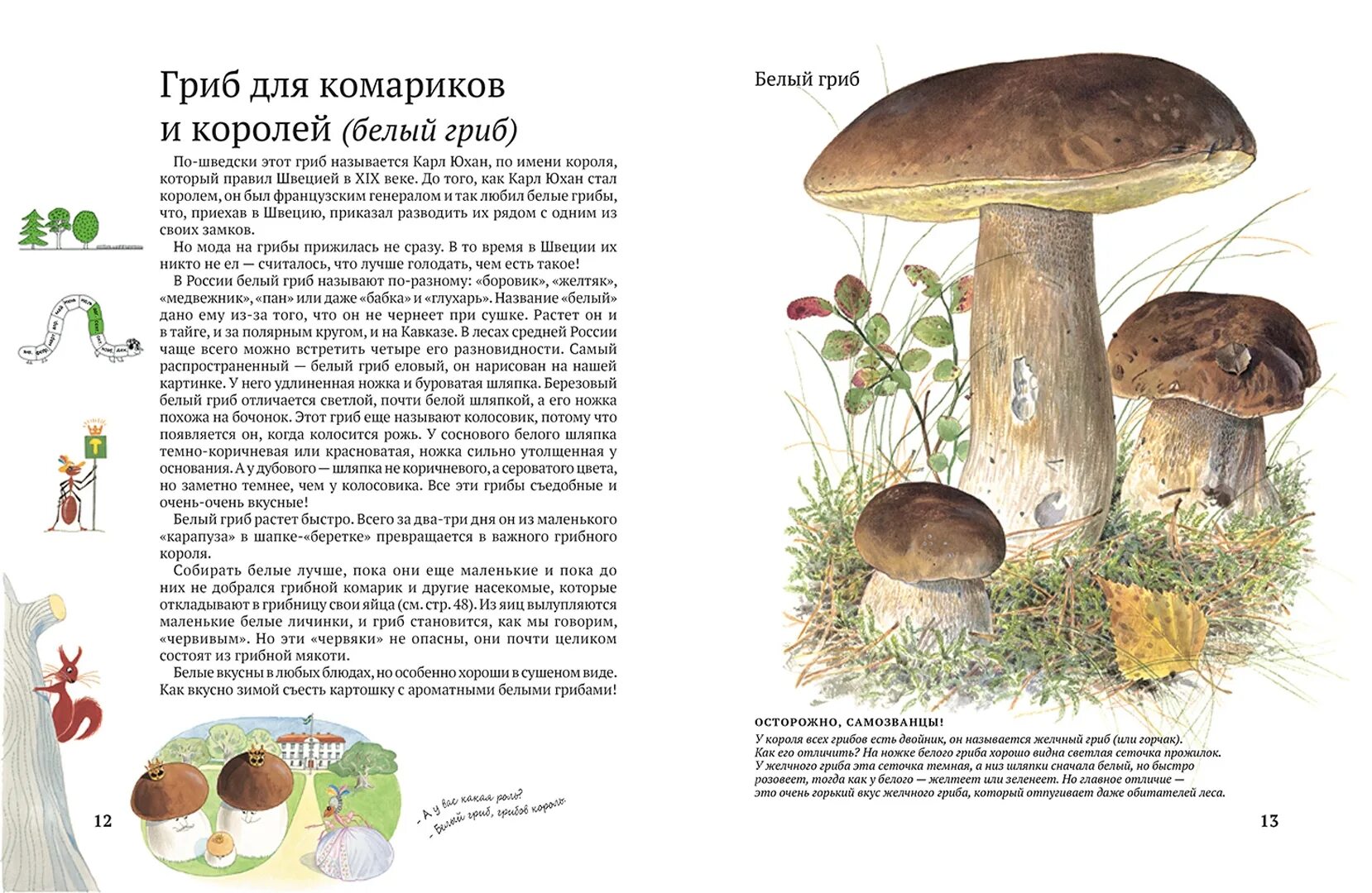 Книги о грибах растениях. Книга грибы. Книги про грибы для детей. Книги о грибах растениях. Книжка про грибы.