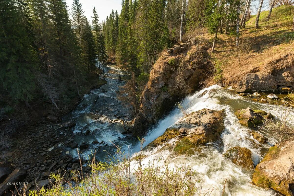 Алтай Пещерский водопад. Водопад пещерка Алтайский край. Залесово Алтайский край водопад. Село пещерка Алтайский край водопад. Водопад пещерка