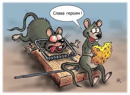 Мыши анекдот