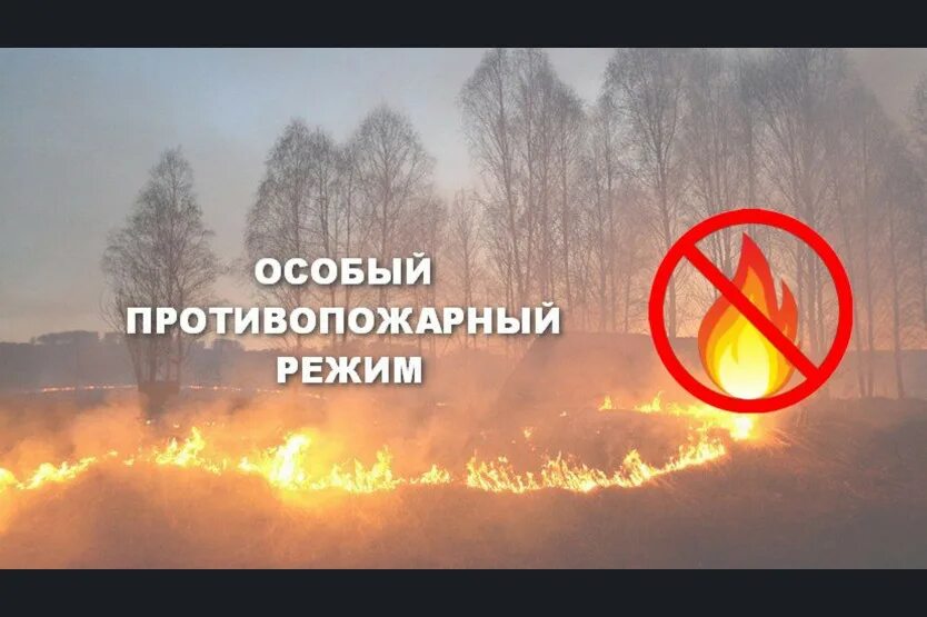 Противопожарный режим воронеж. Особый противопожарный режим картинки. Внимание особый противопожарный режим. Памятка особый противопожарный режим 2024. Внимание противопожарный режим.