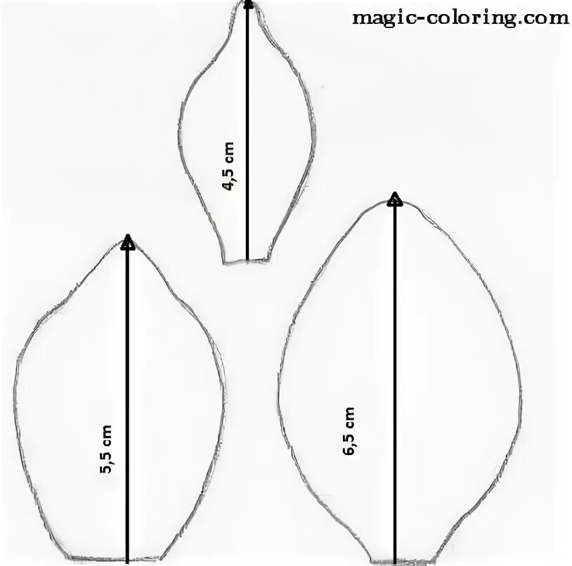 Лепесток тюльпана для вырезания. Трафарет лепестков. Выкройка лепестков магнолии. Лепестки магнолии трафарет. Лепесток магнолии шаблон.