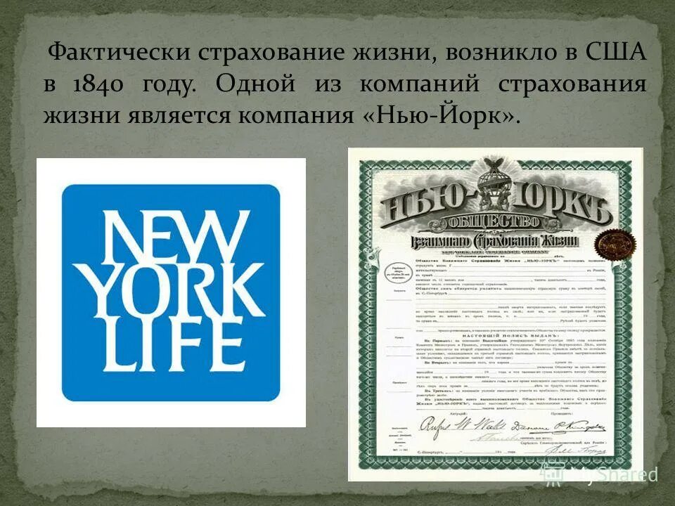 страховая компания страхование жизни отзывы. преимущества страховой компании. страховая компания страхование жизни отзывы. страхование жизни. страховая компания страхование жизни отзывы.