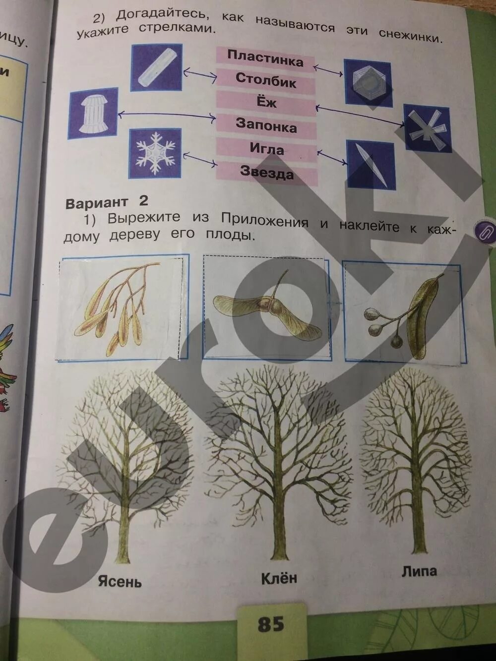 Окружайка 4 класс рабочая тетрадь 2. Окружающий мир 2 класс рабочая тетрадь 1 часть Плешаков ответы стр 85. Окружающий мир 2 класс рабочая тетрадь 1 часть Плешаков стр 85. Рабочая тетрадь по окружающему миру 2 класс 1 часть стр 83. Окружающий мир 2 класс рабочая тетрадь 1 часть стр 83.