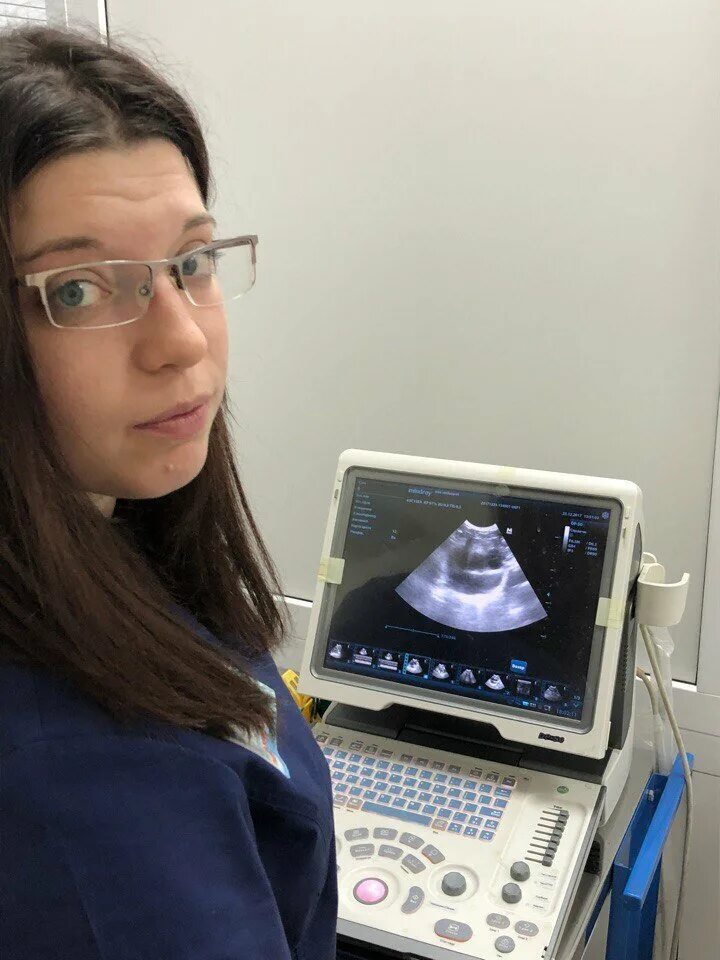 Ветеринарный лазарет липецк московская 57а. Капитал медицинское страхование нижний новгород. Ветеринарный лазарет липецк логотип. Вет клиеикалазарет клиника липецк. Ветеринарная клиника лазарет липецк.