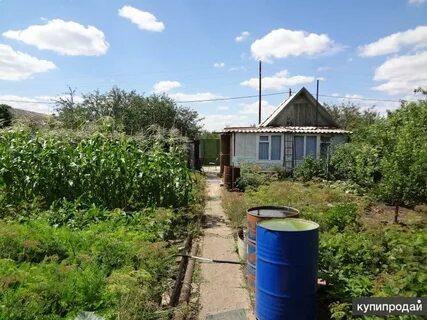 Снт г оренбурга