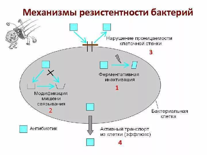 Антибактериальная резистентность. Механизмы формирования резистентности к антибиотикам. Механизмы развития приобретенной устойчивости к антибиотикам. Механизмы формирования лекарственной устойчивости к антибиотикам. Механизмы образования устойчивости микроорганизмов к антибиотикам.