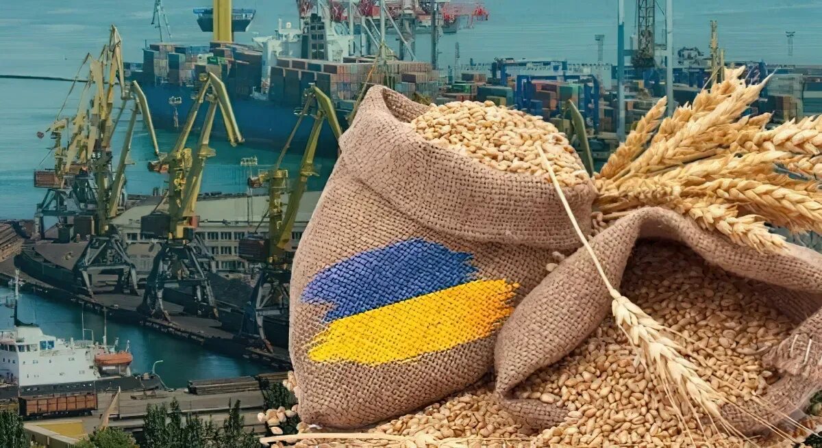 12 млн тонн. Экспорт зерна. Поставки зерна. Корабль с зерном. Экспорт пшеницы.
