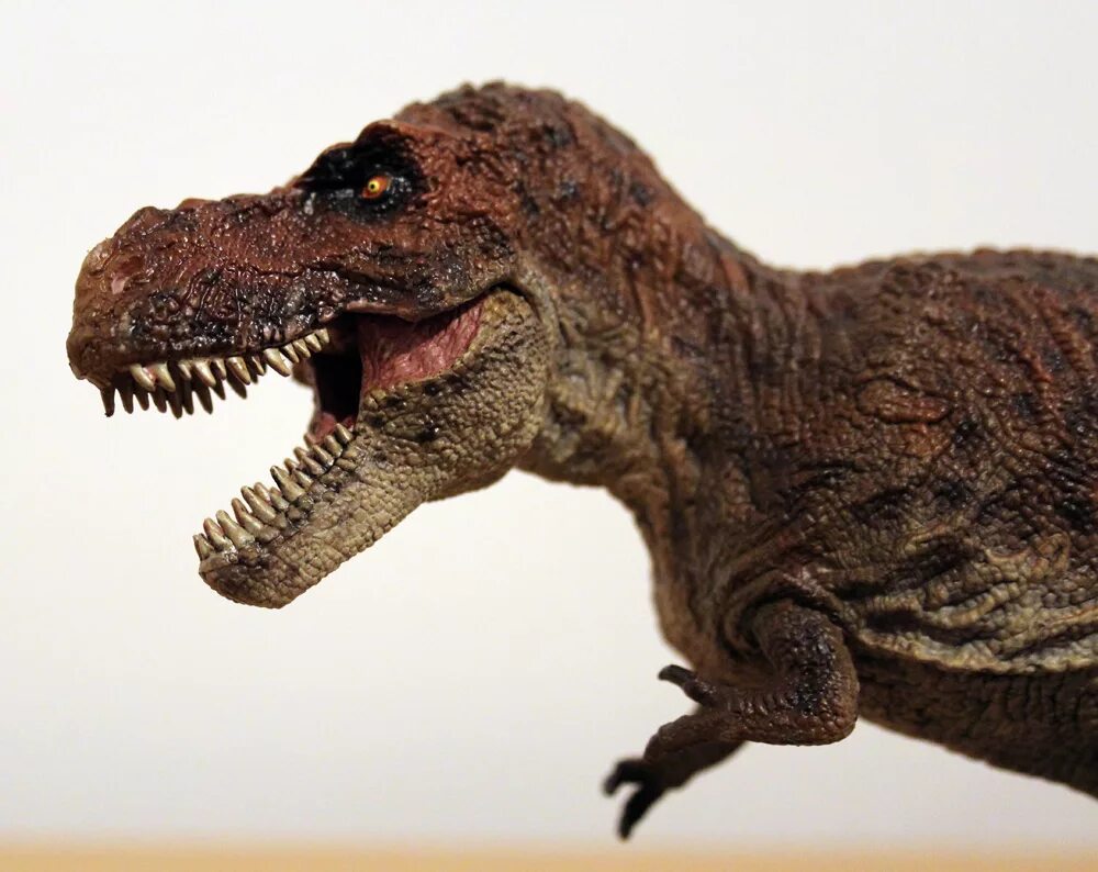 Крустацеос рекс. Тиранозавр рекс. Тираннозавр рекс голова. Динозавра террано рекса. Тираннотитан динозавр.