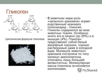 Животный крахмал