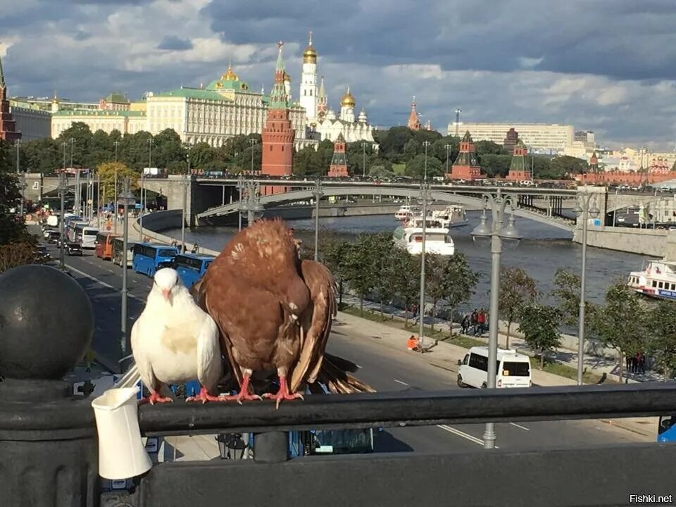 Невероятная москва. Москва Патриарший мост вид на Кремль. Вид на Кремль с Патриаршего моста. Вид на Москву с Патриаршего моста. Скульптура около Патриаршего моста.