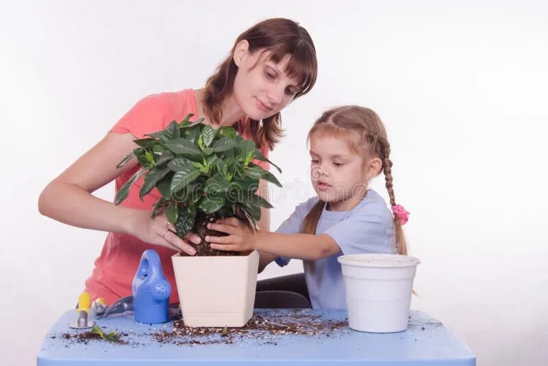 Дети с комнатными цветами. Дети сажают комнатные цветы. Растения детки в горшках. Малыш в цветочном горшке. Мама цветы в горшке