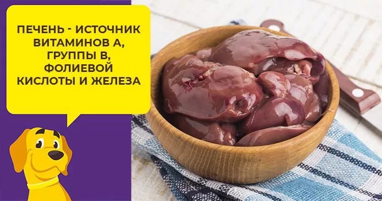 Какие субпродукты можно давать собаке. Печень куриная можно собаке. Печень куриная для собак сушеная. Можно печень йорку