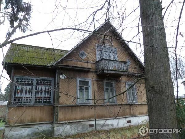 Лисий нос ленобласть. Поселок лисий нос. Спб поселок лисий нос. Лисий нос питер. Лисий нос дачи петербург.