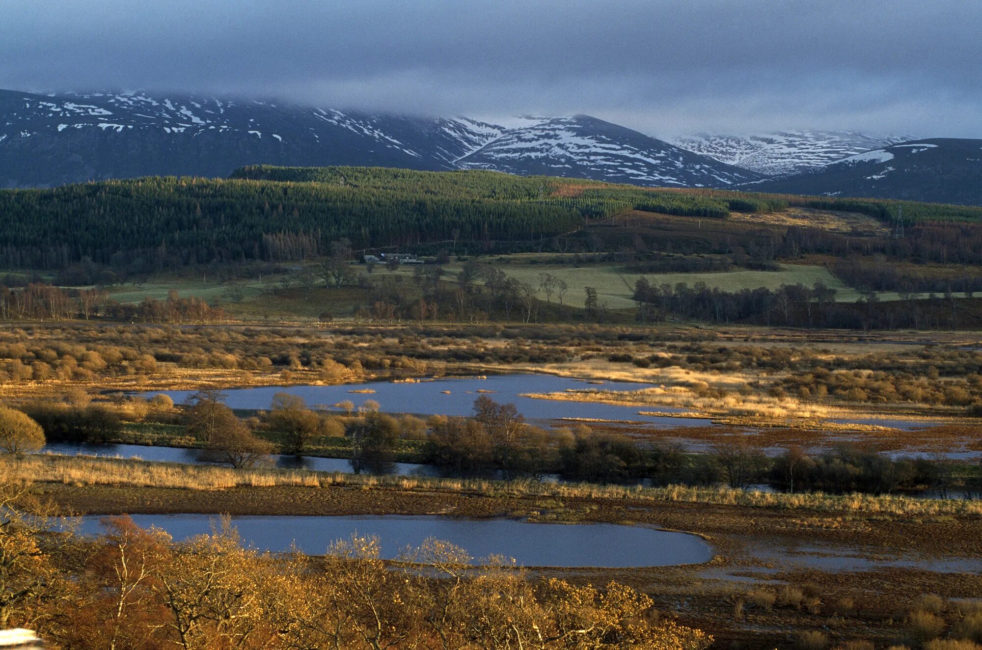 Scotland nature reserves. Insh Marches Шотландия. Шотландия болота Маршес. Болота инш в Шотландии. Пинские болота Шотландия.