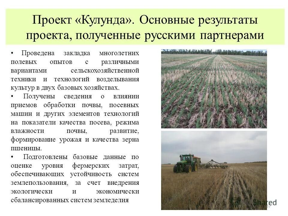 Технология возделывания просо. Технологии возделывания культуры. Приемы выращивания культурных растений. Технические культуры в сельском хозяйстве. Технология предпосевной обработки почвы.