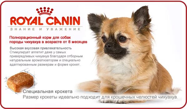 Вес чихуахуа по месяцам таблица мини. Таблица кормления щенка чихуахуа 3 месяца. Сколько корма нужно чихуахуа. Норма корма для собак чихуахуа. Норма кормления собак роял канин для щенков французского бульдога.