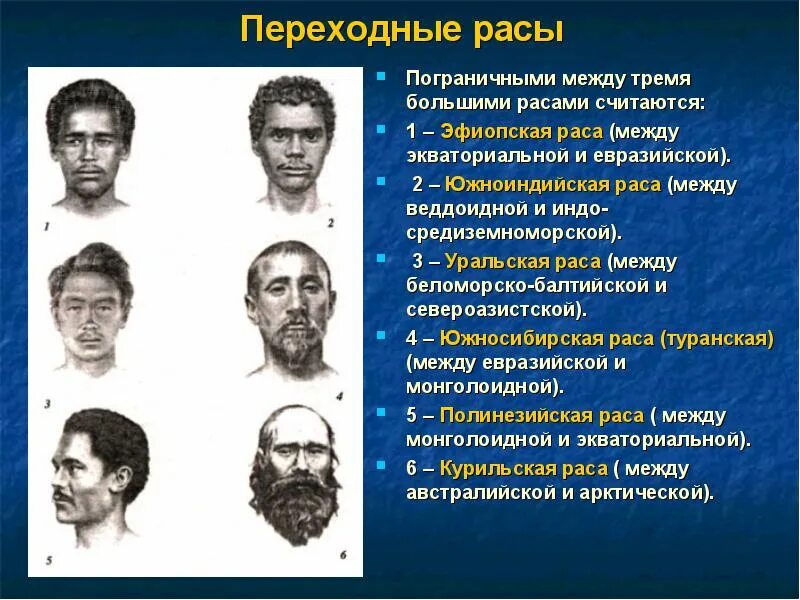 Человеческие расы принадлежат. Уральская европеоидная раса. Переходные расы. Антропологический Тип. Представители переходной расы.