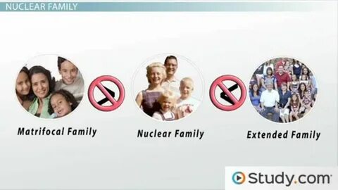 Nuclear family перевод