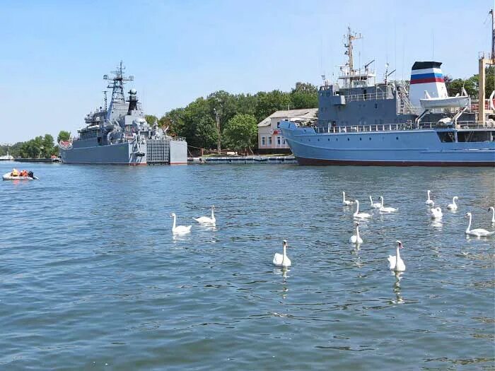 Балтийск на карте. Форт западный балтийская коса. Балтийск пропуск. Морской порт калининград схема. Порт балтийск паромный терминал.