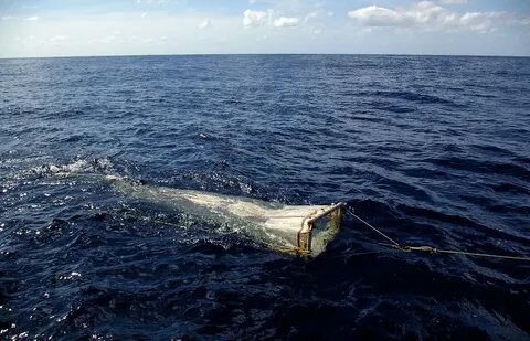 Саргассово море самое большое в мировом океане