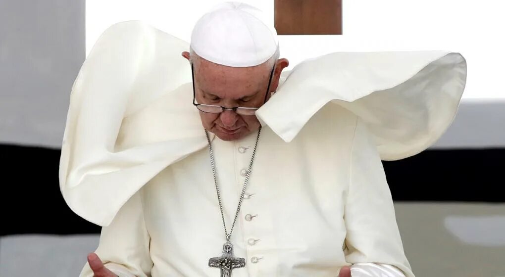 Папа Римский цитата Украина. Бербок раскритиковал папу Римского Франциска. Арт папы Римского с белым флагом. Папа Римский думает фото.