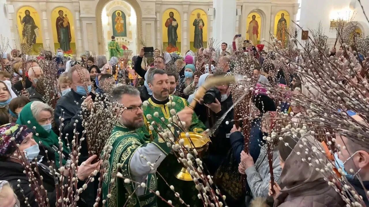 Освящение вербы. Освящение вербы в храме. Освящение верб воскресенье. Спас на крови освящение вербы. Освящение вербы в храме когда.