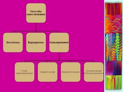 Заимствованные слова пришедшие из других языков