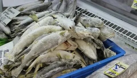Магаданская область рыба