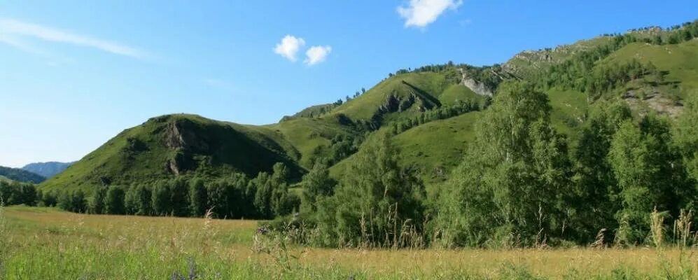 Село Чегон Солонешенского района. Чегон Алтайский край. Туманово Алтайский край Солонешенский район. Топольное Солонешенский район. Погода в карпова алтайского края