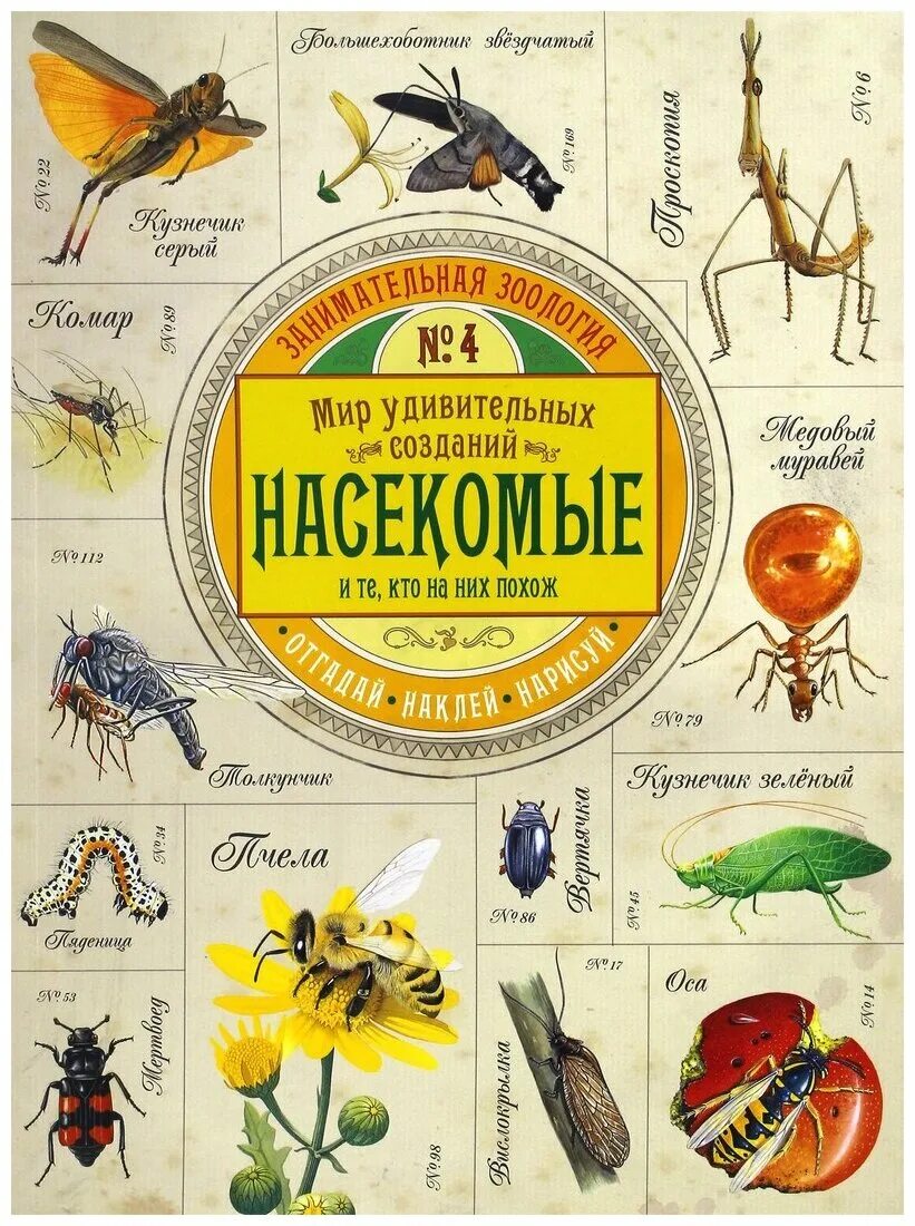 атлас беспозвоночные животные дольник. насекомые книга. насекомые. внутреннее строение беспозвоночных. занимательная зоология.