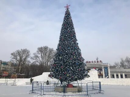 Амурская область новый год