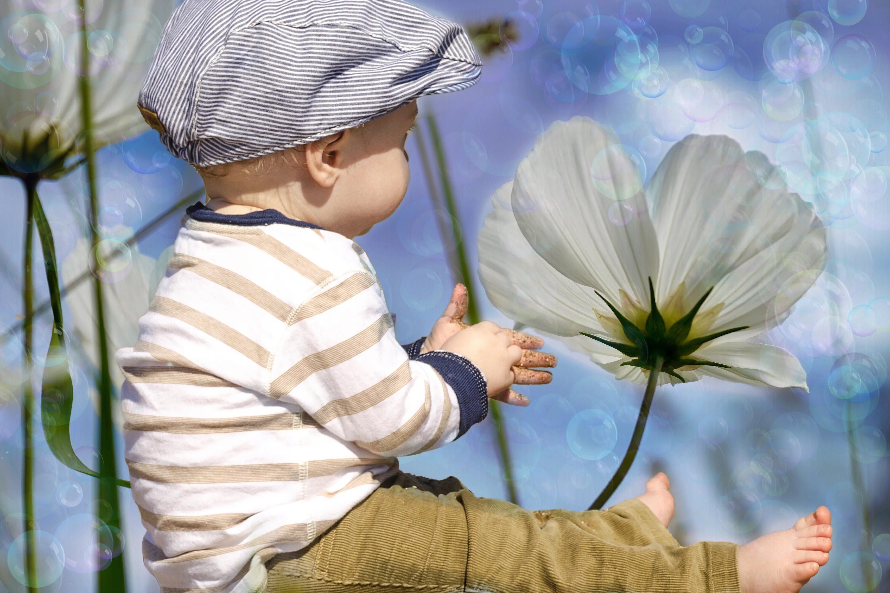 Цветы для детей. Дети цветы жизни. Дети наши цветы жизни. Мальчик с цветочком. Are flowers of life