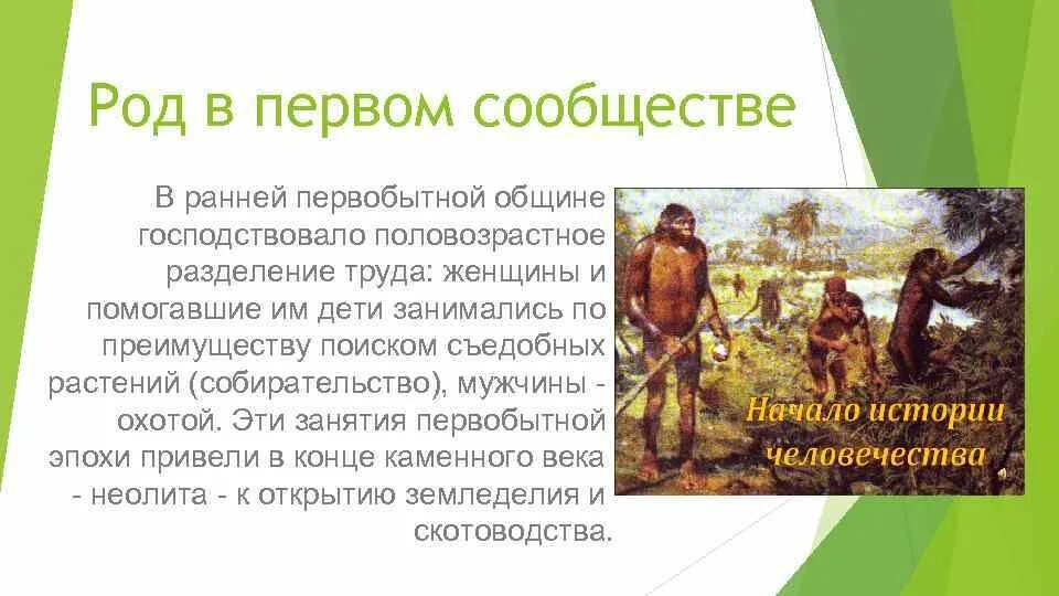 Ранняя Первобытная община. Разделение труда в первобытном обществе. Эпоха первобытной родовой общины. Разделение труда у первобытных людей.