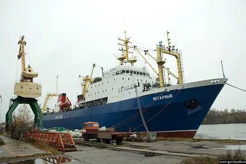 Вега рыбацкое