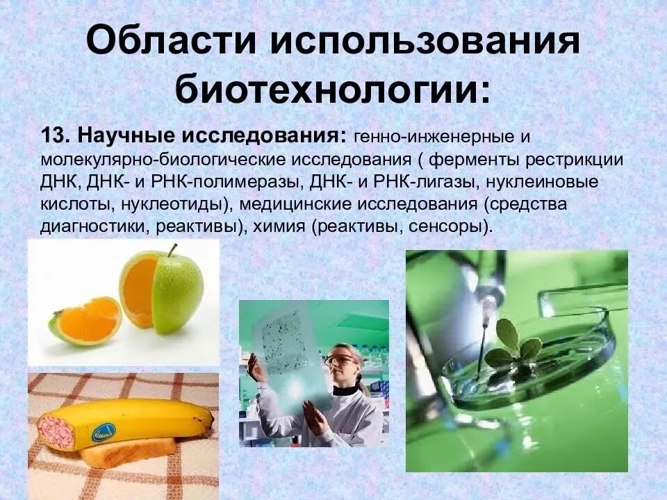 Генная инженерия применение. Биотехнология и генная инженерия. сферы использования биотехнологии. исследования в области биотехнологии. биотехнология и ее методы.