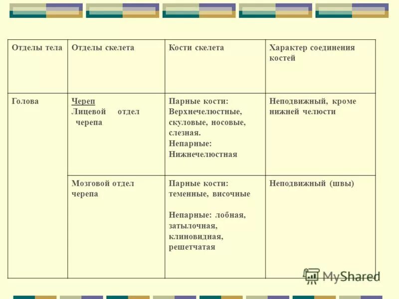 Перечислите отделы скелета