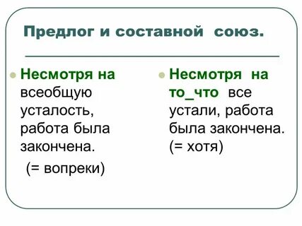 Не смотря на обстановку