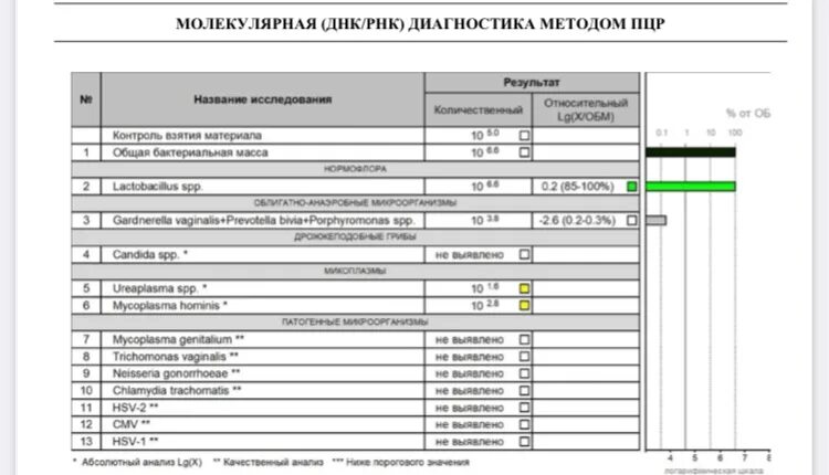 фемофлор 16 что входит. фемофлор 16 что входит. анализ впч и фемофлор. фемофлор скрин. фемофлор 16 что входит.