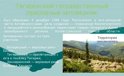 Алтайский заповедник доклад 2 класс
