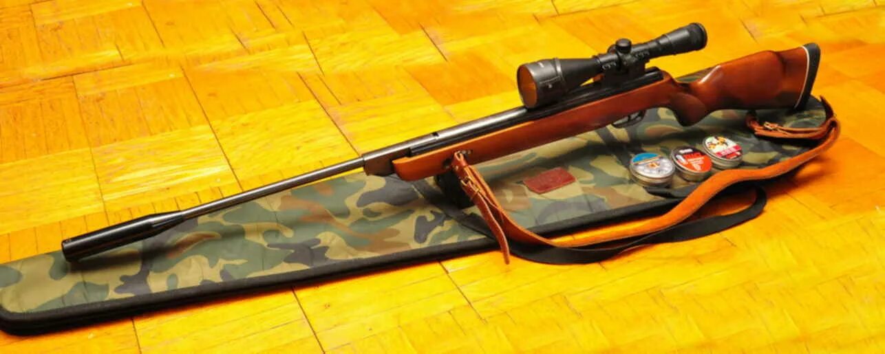 Gamo Hunter 1250. Винтовка Gamo Hunter 1250. Ложе Гамо Хантер 1250. Gamo Hunter 350.