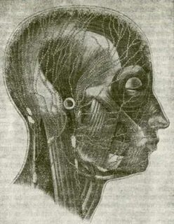 Head page