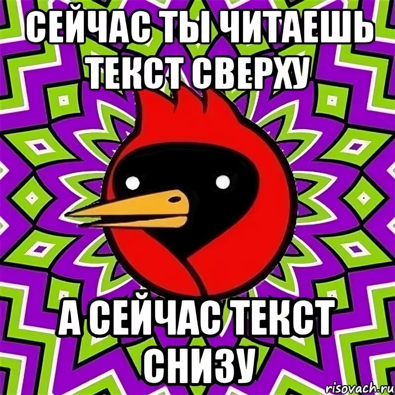 Снизу мем. Омская птица Великий суд. Субтитры Мем снизу. Клиент снизу Мем. Следит с низу Мем.